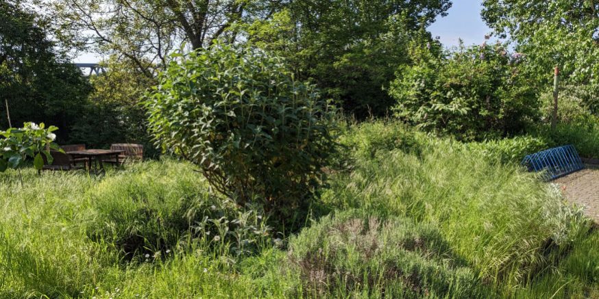 Alles überwuchert Alles überwuchert